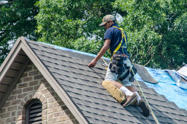 Best Roof Repair Services  in Big Lake, TX